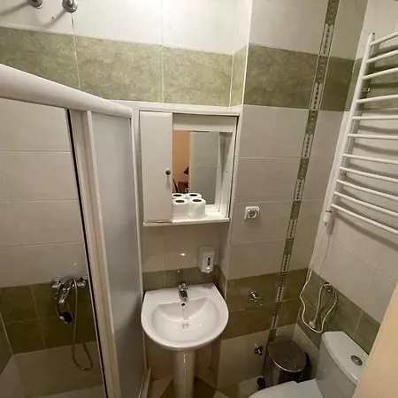 Traveling Actor Skadarlija 4*